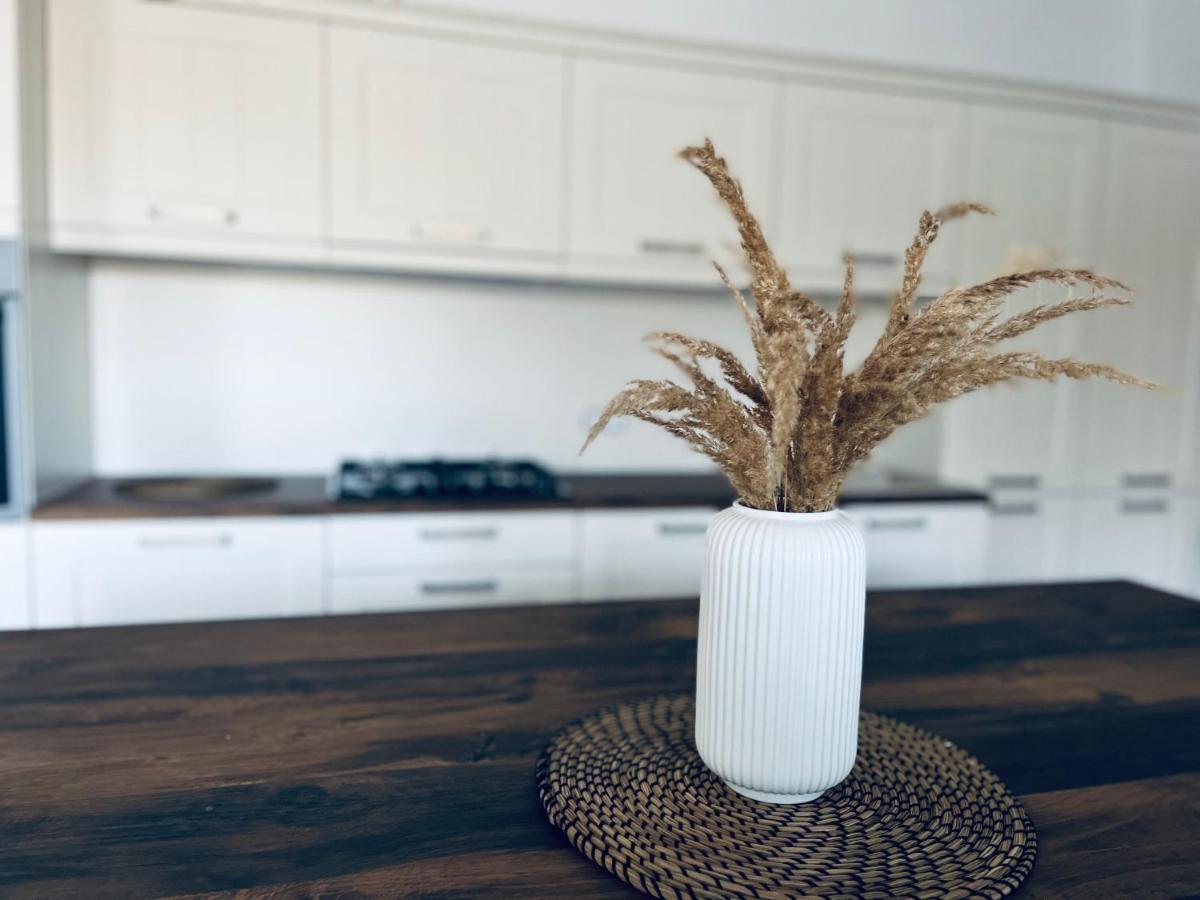 Apartment Country House Zaton Tisina 외부 사진