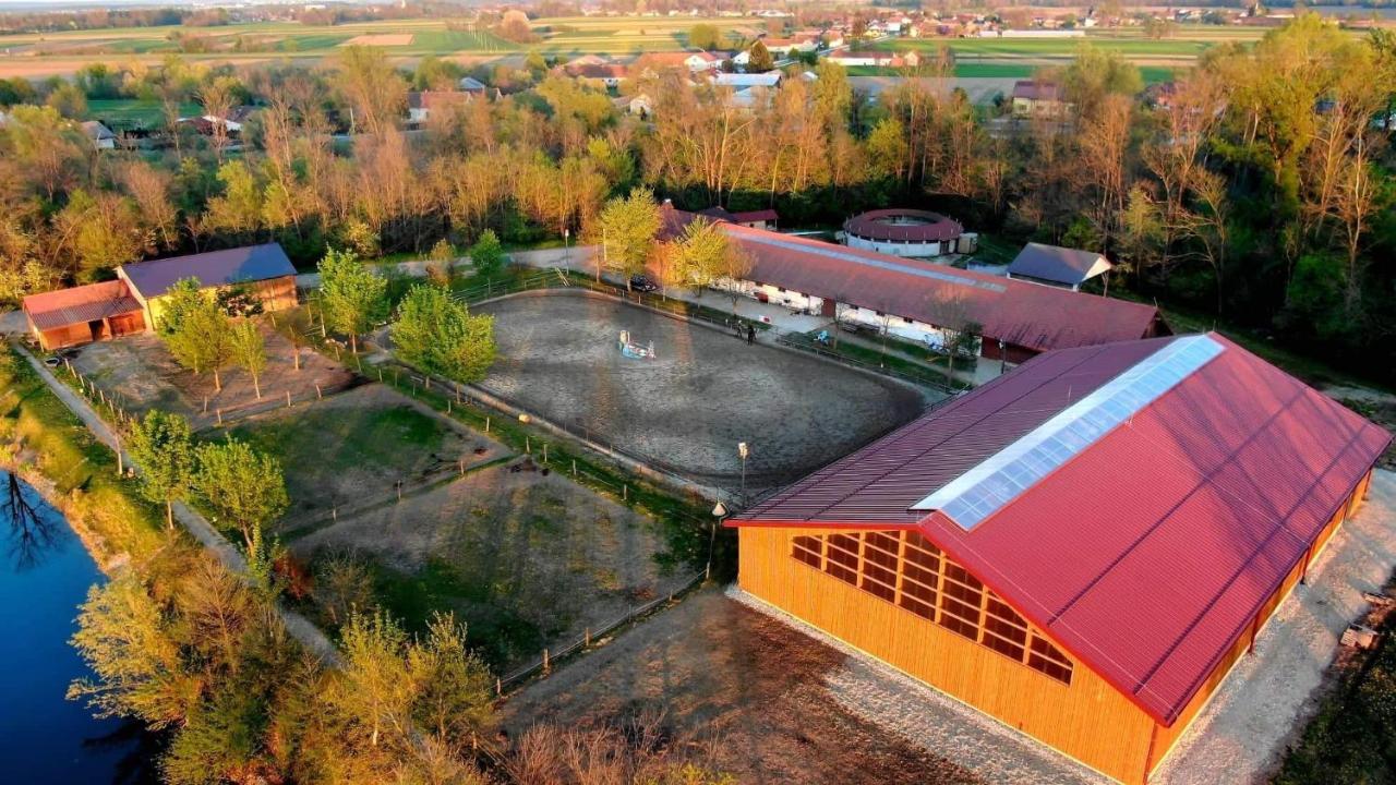 Apartment Country House Zaton Tisina 외부 사진