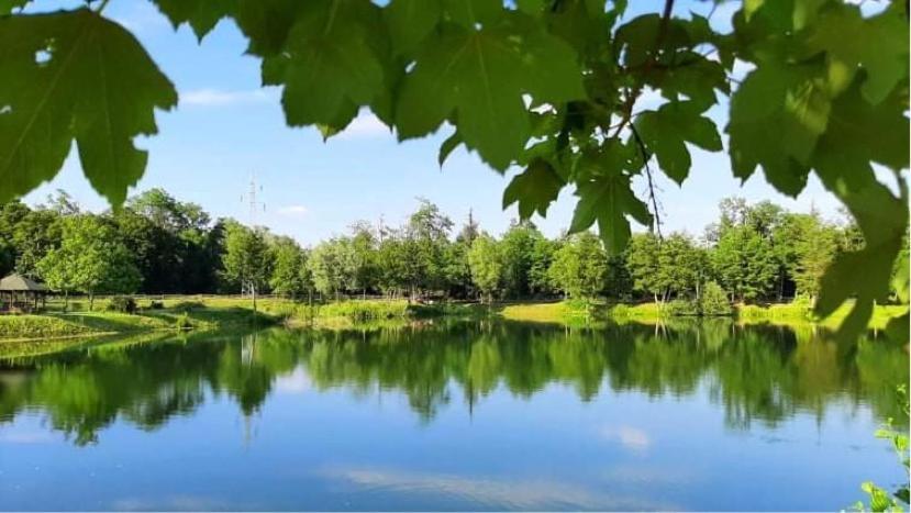Apartment Country House Zaton Tisina 외부 사진
